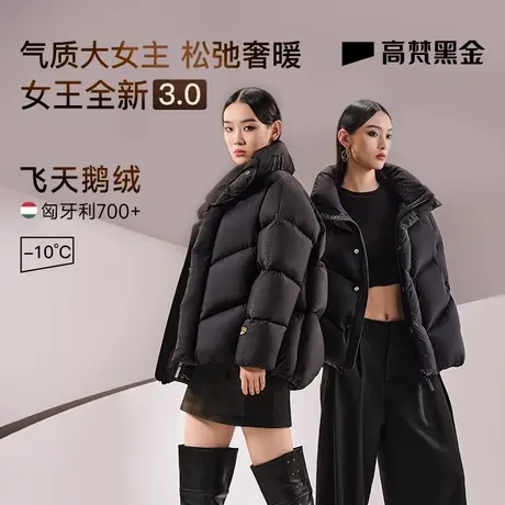 【高梵黑金鹅绒服】女王3.0四格羽绒服2023年新款短款女加厚外套商品大图