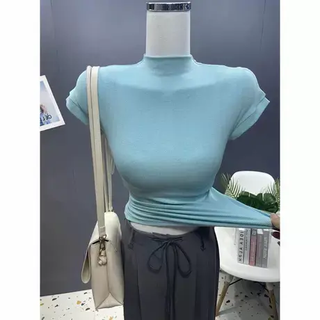 日常好穿~复古百搭纯色半高领短袖T恤女修身夏季韩版ins弹力上衣商品大图