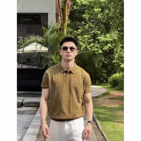 2025新款夏季潮牌翻领短袖纯色百搭休闲POLO衫老钱风穿搭T恤上衣商品大图