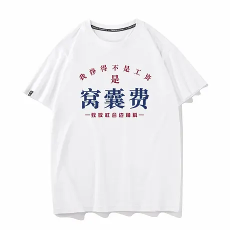 秀洛我挣的不是工资是窝囊费 夏季短袖T恤商品大图