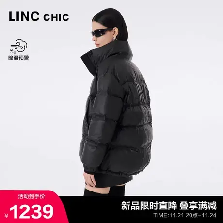 LINCCHIC金羽杰短款羽绒服女冬季2023新款都市通勤简约免洗2274商品大图