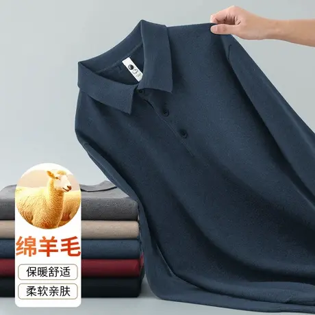 翻领polo衫毛衣男纯色针织衫加厚打底衫秋冬季保暖绵羊毛衫毛线衣商品大图