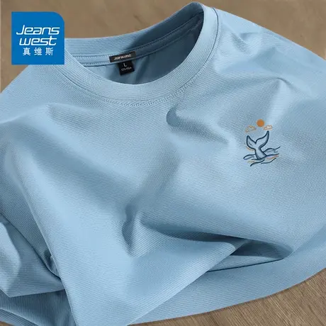 GV真维斯速干t恤男短袖夏季冰丝凉感半袖男防晒排汗跑步运动体恤D图片