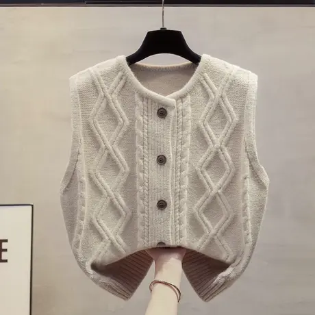 麻花开衫圆领针织马甲背心女2025春秋新款宽松外穿马夹毛衣坎肩潮商品大图