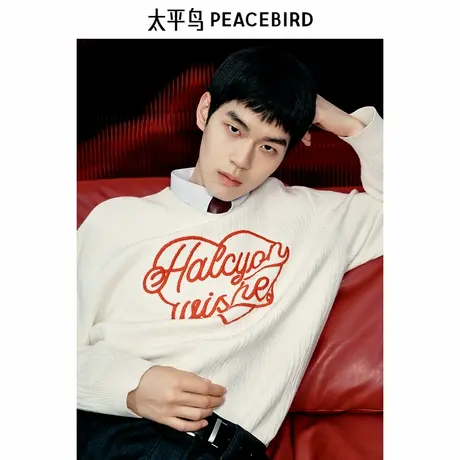 【商场同款】太平鸟男装 2025年春季新款圆领套头毛衣男B2EBF1124图片