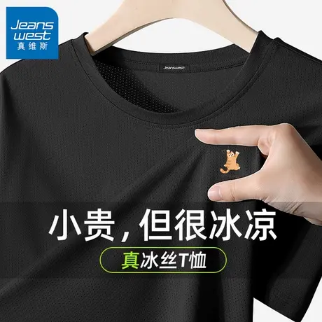 GV真维斯青少年短袖男款夏季薄款加大码速干t恤男跑步健身五分袖C商品大图