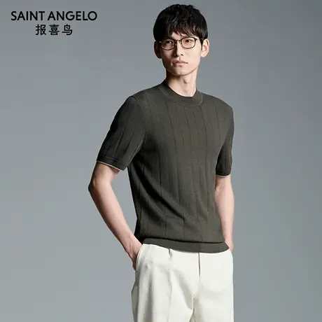 【商场同款】报喜鸟2025秋季新款男士时尚休闲短袖T恤羊毛衫上衣图片