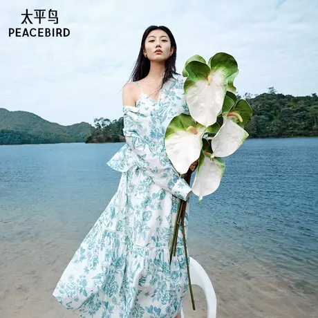 【商场同款】太平鸟2025夏新款Daria Song联名连衣裙A1FAF2481商品大图
