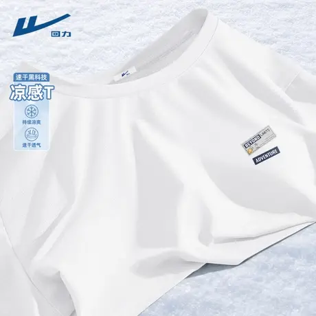 回力冰丝短袖t恤男夏季凉感速干衣男士跑步健身宽松运动上衣男款D图片
