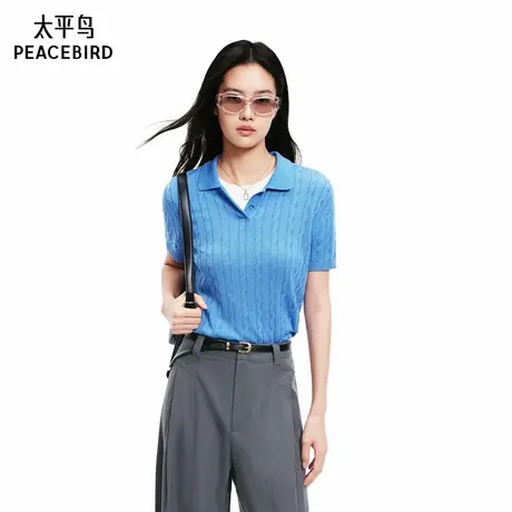 【商场同款】太平鸟女装2025年夏季新款绞花短袖针织衫A1EEF2116商品大图