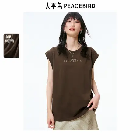 【商场同款】太平鸟女装2025年夏季新款短袖T恤A3CNF2338图片