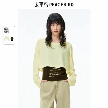 【商场同款】太平鸟女装2025年夏季新款长袖T恤A3CPF2343商品大图