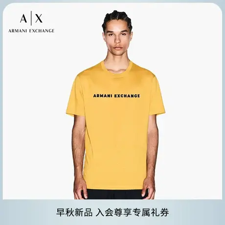 ARMANI EXCHANGE/阿玛尼2025早秋新款男士全棉圆领短袖正肩T恤图片