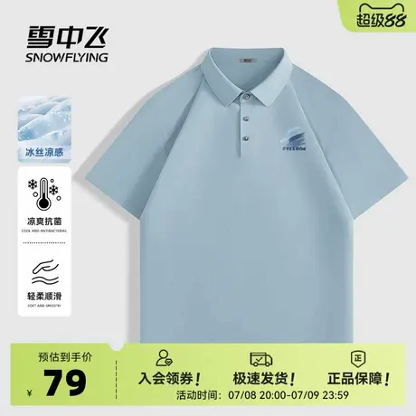 雪中飞冰丝短袖t恤男夏季2025新款翻领上衣大码男士凉感polo衫PC图片