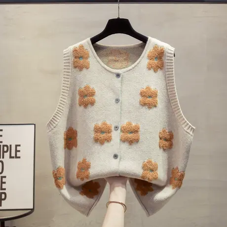 开衫圆领针织马甲背心女2025春秋新款宽松外穿马夹外搭毛衣坎肩潮商品大图