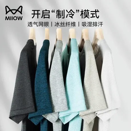 [柠檬海盐穿搭]猫人网眼短袖t恤男夏季透气冰丝运动爸爸透气上衣图片