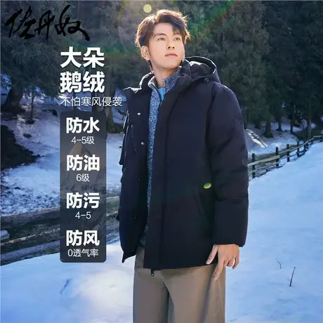 佐丹奴绅士风羽绒服男新款鹅绒服户外三防连帽羽绒外套男01074696图片