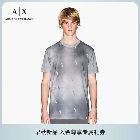 ARMANI EXCHANGE/阿玛尼2025早秋新款男士全棉短袖渐变印花T恤商品大图