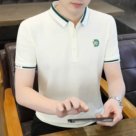 夏季男士有带领短袖T恤带领子tx休闲衣服男装宽松翻领polo衫潮流商品大图