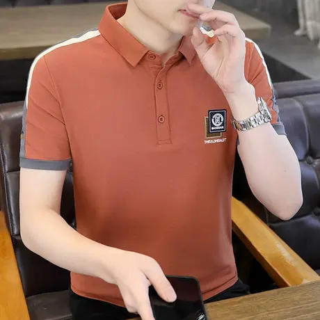 夏季男士短袖polo衫休闲T恤保罗纯棉高端外贸上衣男大码半袖体恤商品大图