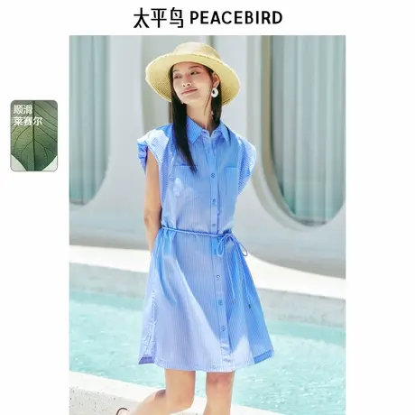 【商场同款】太平鸟女装2025夏季新款质感高级连衣裙A1FAF2548商品大图