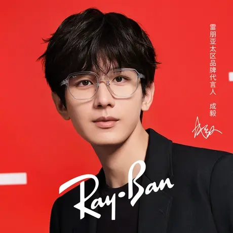 【⏺成毅同款】ⓂRayBan雷朋光学镜架不规则形近视眼镜框0RX5424D图片