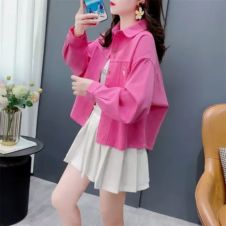 今年流行的短款长袖衬衫女2024年新款秋季宽松小个子复古港味上衣商品大图