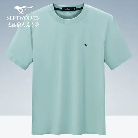 七匹狼圆领T恤男士夏季新品冰肌凉感舒适亲肤青年商务短袖爸爸潮图片
