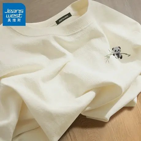 GV真维斯圆领套头衫男士春秋休闲印花长袖上衣男宽松潮牌纯棉长TA商品大图