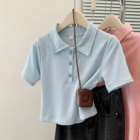 夏季2025新款正肩短袖T恤女修身韩版小个子短款Polo领半袖上衣潮商品大图