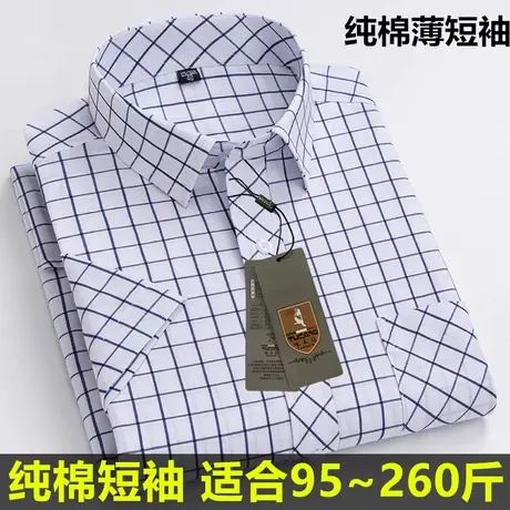 啄木鸟新款纯棉薄款短袖格子衬衫男装条纹全棉短袖加肥大码衬衣图片