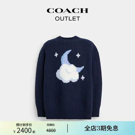 COACH/蔻驰奥莱男女通用绵羊毛装饰图案厚毛衣图片