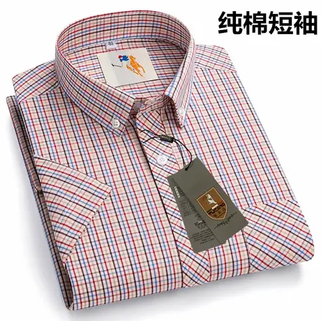 啄木鸟大码纯棉薄款衬衫男士短袖格子中年全棉商务休闲男装衬衣图片