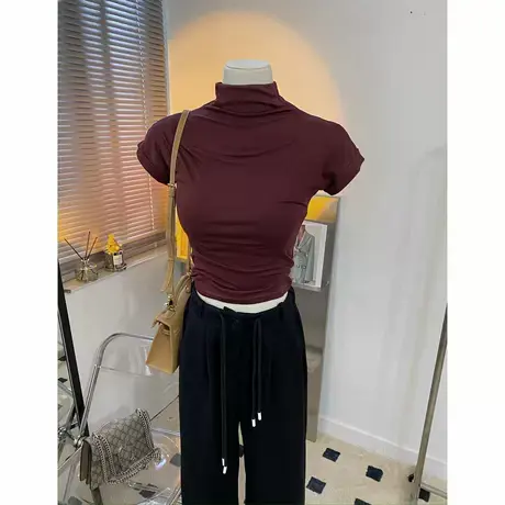 酒红色复古又高级！立领半高领是弹力修身短袖T恤女初秋新打底衫图片