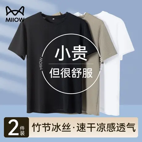 猫人竹节冰丝网眼男士短袖t恤2025新款夏季速干透气半袖体恤薄款商品大图