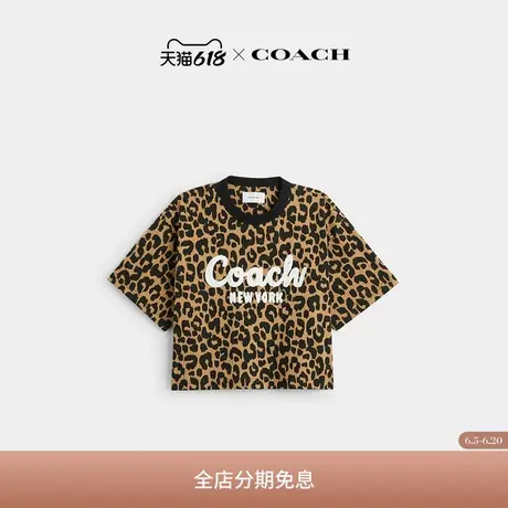 COACH/蔻驰女士豹纹草书体经典标志短摆T恤商品大图