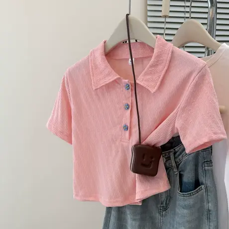 设计感小众Polo领正肩短袖T恤女夏季2025新款韩版修身短款上衣潮商品大图