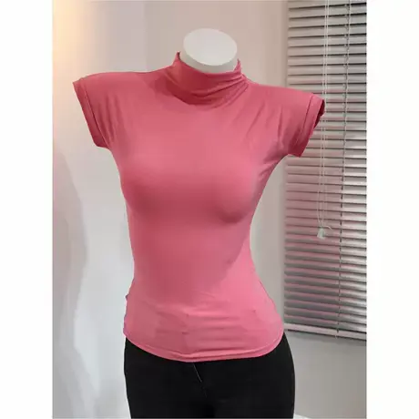 冰丝微弹S身材性感显胸大T恤上衣女半高领紧身无袖背心打底衫夏季图片