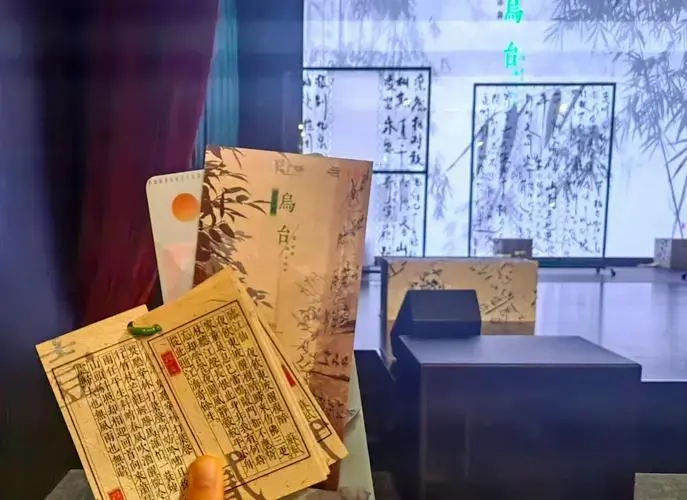 2024年必看话剧《乌台》 2024年的第一场话剧,楼上戏剧的《乌台》,真