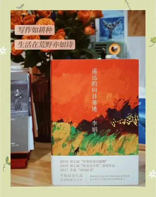 豆瓣9.1高分书单,走出焦虑的心灵治愈