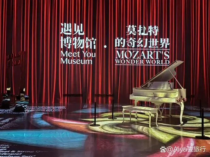 以莫扎特的旅行为线索,伴随着他的经典音乐作品,沉浸式引导观众穿梭于