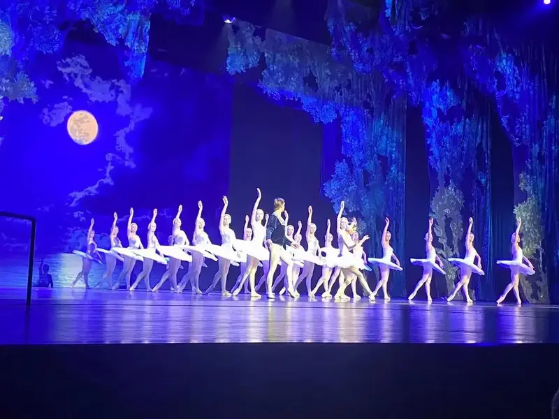 邯郸大剧院 芭蕾舞剧《天鹅湖》孩子说演出非常精彩#天鹅舞 - 兑趑