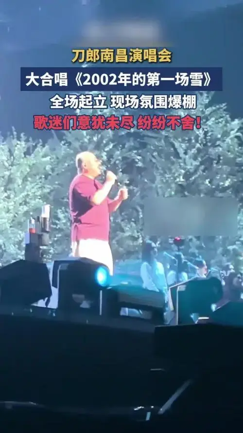 演唱会大合唱《2002年的第一场雪》,全体起立,现场