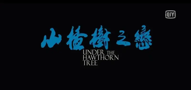 《山楂树之恋》:一段令人心酸的青春恋情