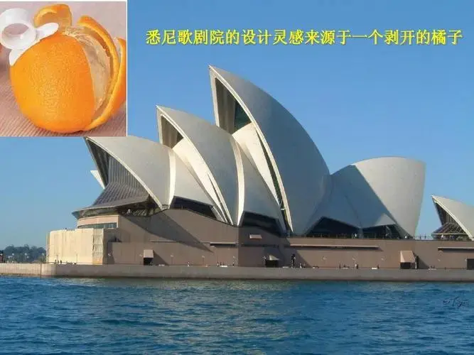 悉尼歌剧院的设计灵感来源于一个剥开的橘子