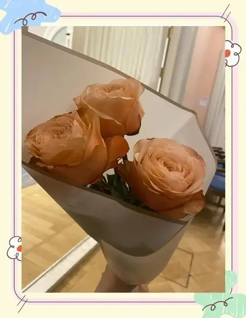 俄罗斯音乐会送花礼仪指南🎶🌸