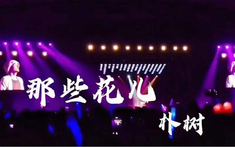 朴树 《那些花儿》2015年西安 大合唱,泪目现场