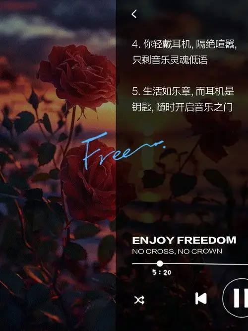 带上耳机,聆听音乐的灵魂之声
