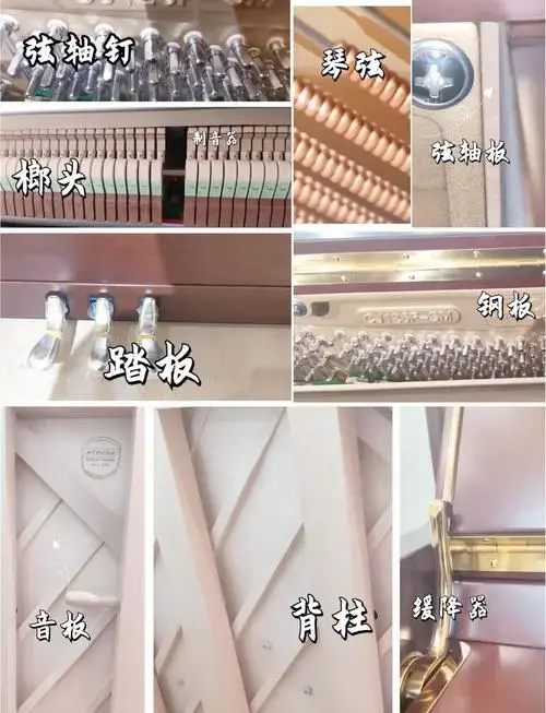 🎹 探索钢琴的奥秘:琴弦与音质的关键 🎼