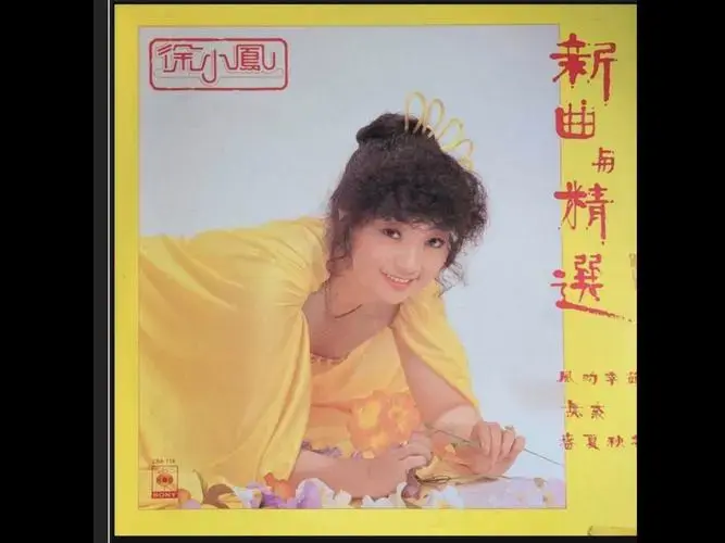 徐小凤《新曲与精选》(黑胶唱片)